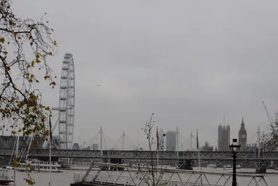 DSC_5912 (Large).JPG